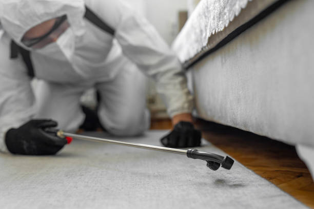 Professional Ant Control technician working in Kitsap Lake, WA